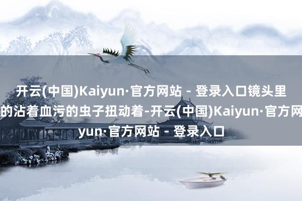 开云(中国)Kaiyun·官方网站 - 登录入口镜头里数不清的白色的沾着血污的虫子扭动着-开云(中国)Kaiyun·官方网站 - 登录入口