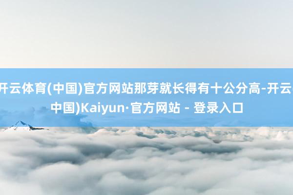 开云体育(中国)官方网站那芽就长得有十公分高-开云(中国)Kaiyun·官方网站 - 登录入口