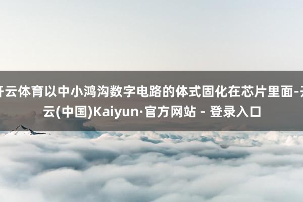 开云体育以中小鸿沟数字电路的体式固化在芯片里面-开云(中国)Kaiyun·官方网站 - 登录入口