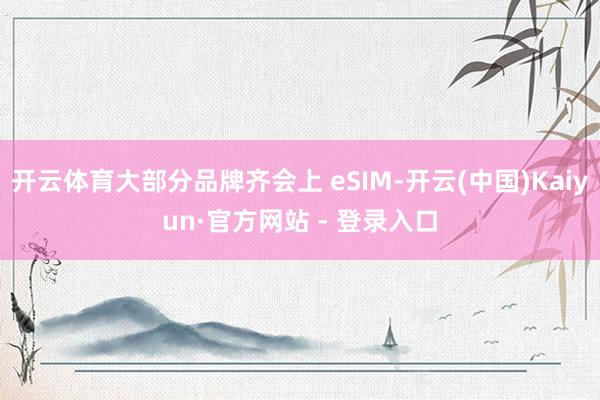 开云体育大部分品牌齐会上 eSIM-开云(中国)Kaiyun·官方网站 - 登录入口