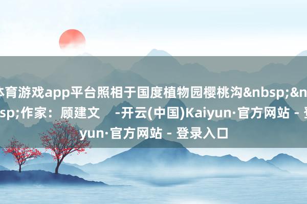 体育游戏app平台照相于国度植物园樱桃沟作家：顾建文    -开云(中国)Kaiyun·官方网站 - 登录入口