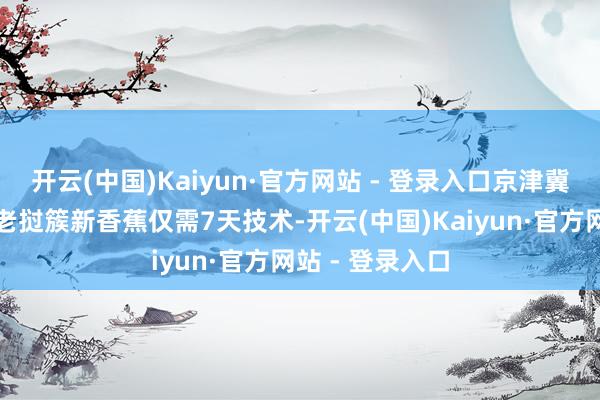 开云(中国)Kaiyun·官方网站 - 登录入口京津冀地区住户吃上老挝簇新香蕉仅需7天技术-开云(中国)Kaiyun·官方网站 - 登录入口