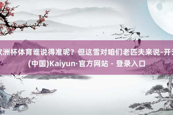 欧洲杯体育谁说得准呢？但这雪对咱们老匹夫来说-开云(中国)Kaiyun·官方网站 - 登录入口